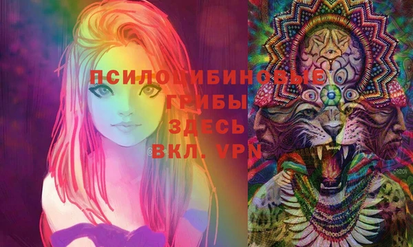 гашик Володарск