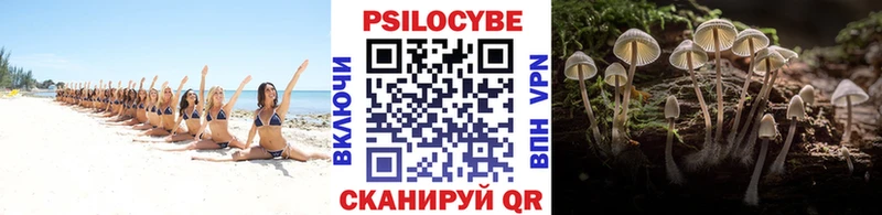 OMG рабочий сайт  Камышлов  Галлюциногенные грибы GOLDEN TEACHER 