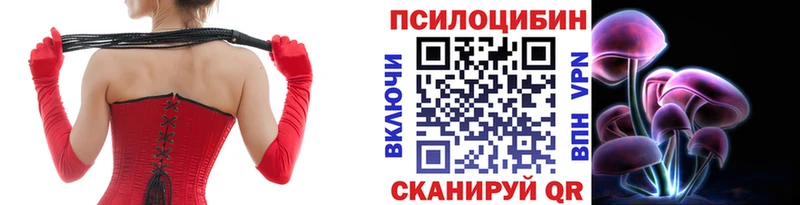 Псилоцибиновые грибы Psilocybe Камышлов