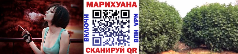 Каннабис Amnesia  где можно купить наркотик  Камышлов 